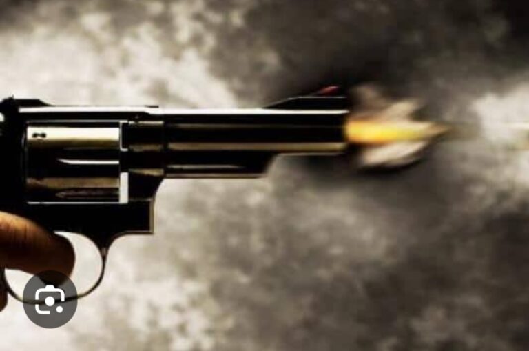 चेकिंग के दौरान पुलिस पार्टी पर की फायरिंग।