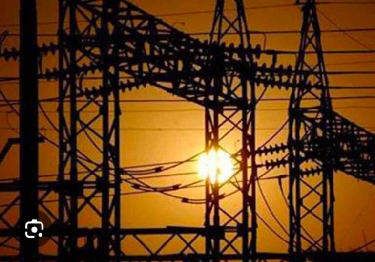 सी एम धामी ने राज्य के घरेलू विद्युत उपभोक्ताओं को दी बड़ी राहत