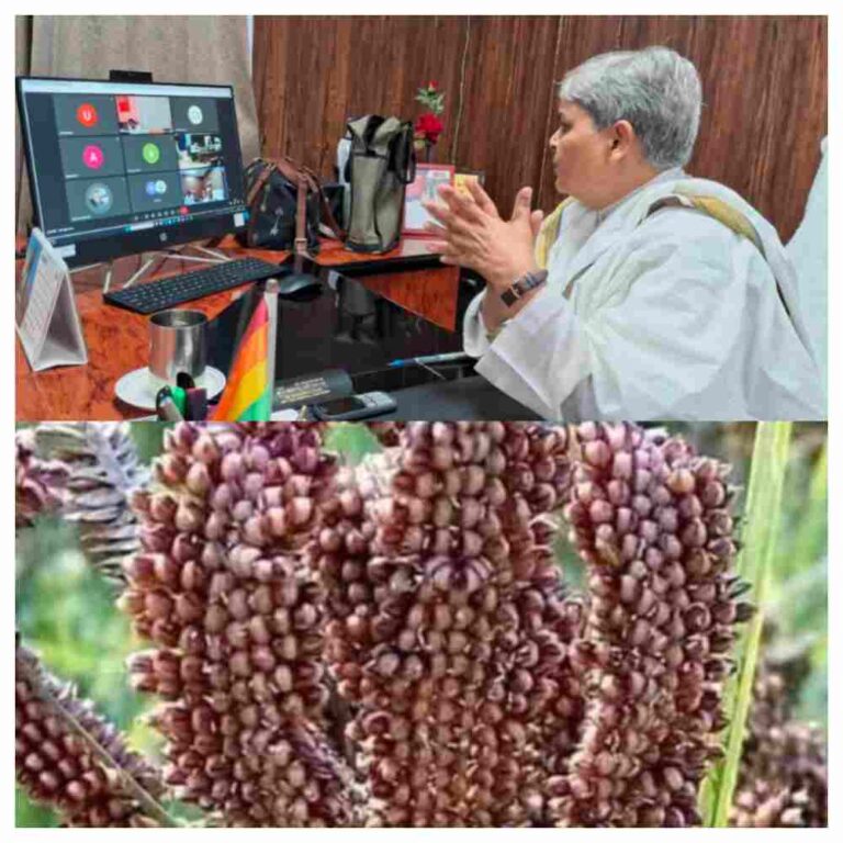 मिलेट्स मिशन से पर्वतीय जनपदों के किसानों की आय में इजाफा