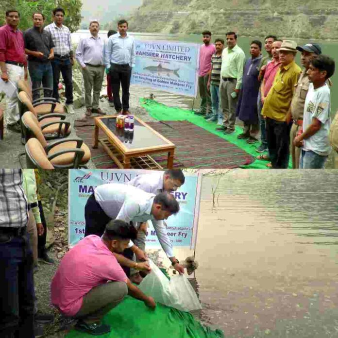 InShot_20250430_134418049-compressed