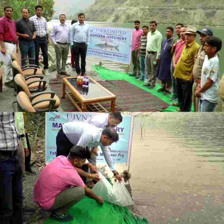 विलुप्त होती उत्तराखंड की राज्य मछली के लिए आगे आया यूजेवीएन लिमिटेड