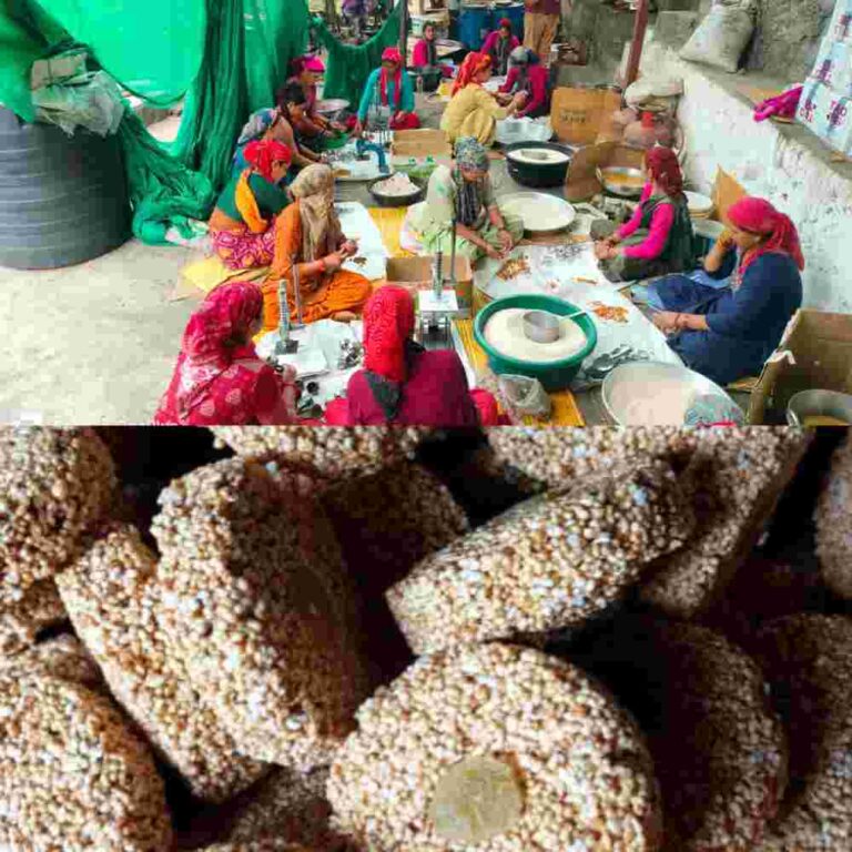 केदारनाथ यात्रा से महिला समूहों को मिल रहा कारोबार