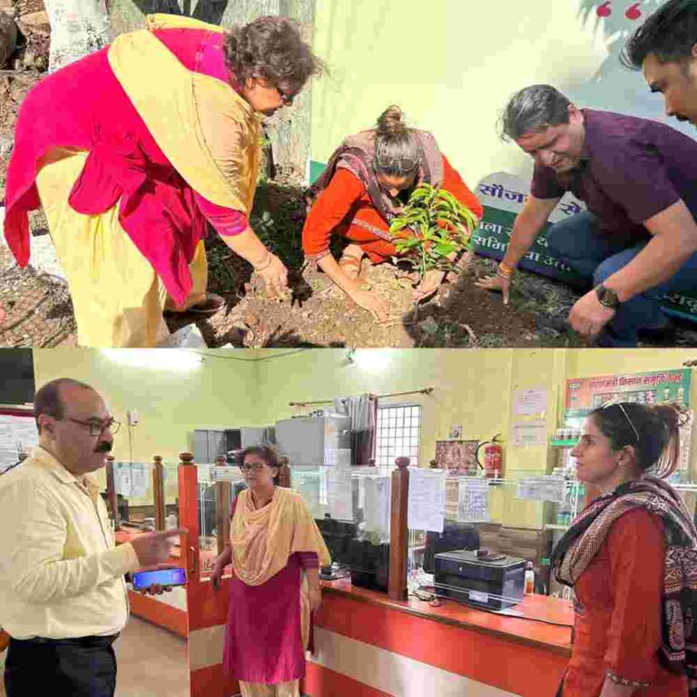 निबंधक सहकारिता सोनिका द्वारा मियां वाला सहकारी समिति में वृक्षारोपण कर मनाया गया पर्यावरण दिवस, प्लास्टिक उन्मूलन का लिया संकल्प