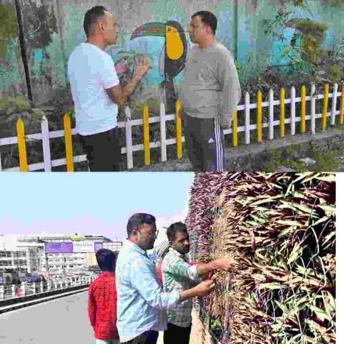 InShot_20251027_082550329-compressed