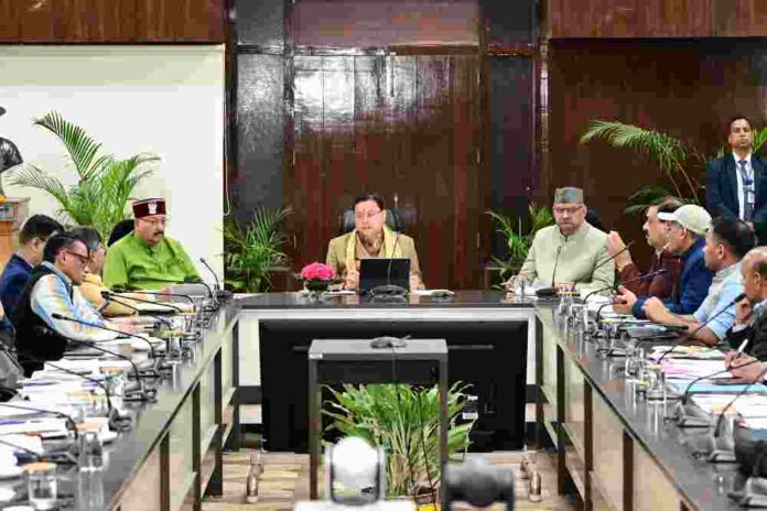 IMG-20260129-WA0012-compressed